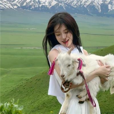 爱情无全顺
